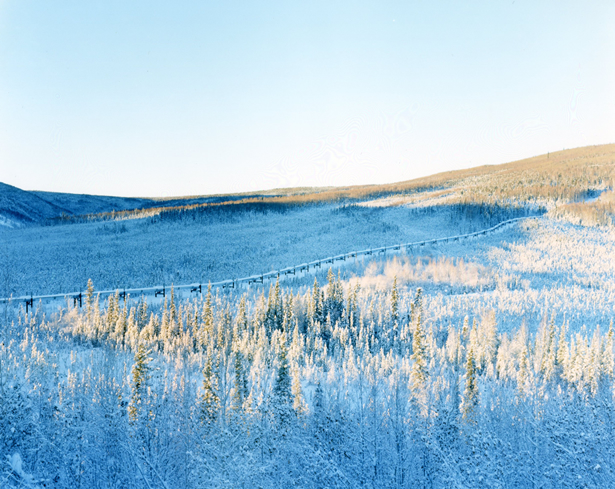 Pipeline Alaska