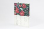 クサナギシンペイ 『清澄界隈』 2013年